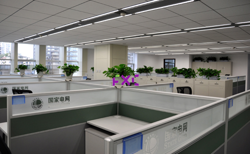 办公室租赁植物